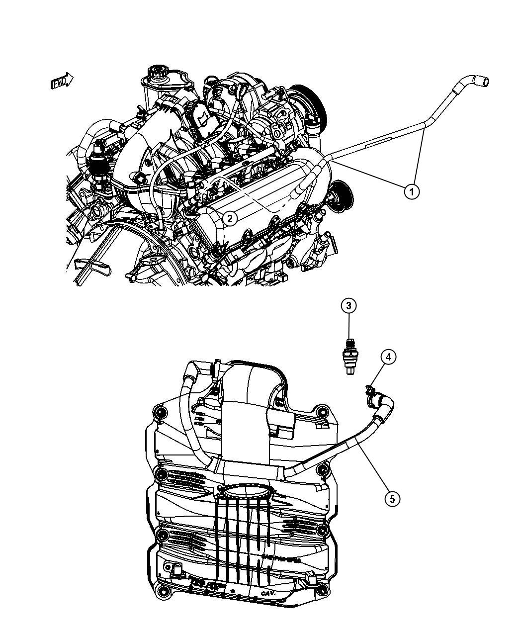 Dodge Ram 1500 Hose. Pcv valve to intake manifold. Includes clamps ...